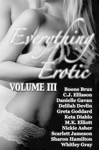 Everything Erotic Volume III