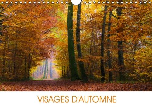 Visages D'automne 2018: En Automne, La Nature Tire Sa Reverence Pour Un Bouquet Final Eblouissant(Calvendo Nature)