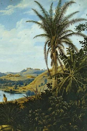 Frans Post