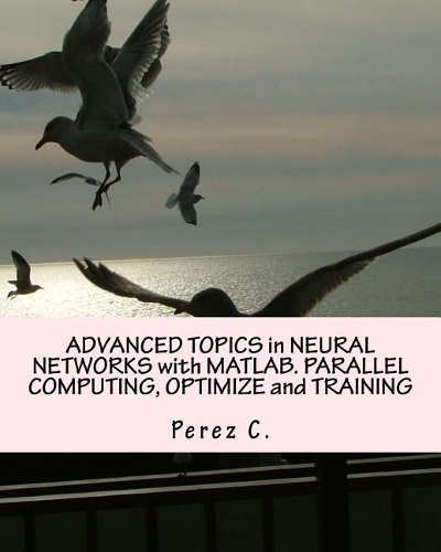Advanced Topics in Neural Networks with Matlab. Parallel Computing, Optimize and Training