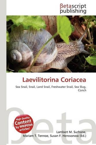 Laevilitorina Coriacea