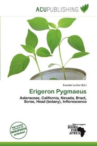Erigeron Pygmaeus: (English)