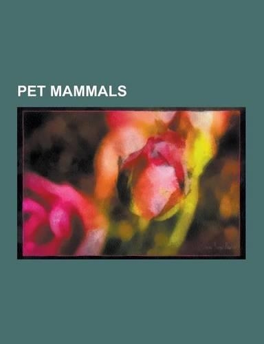 Pet Mammals