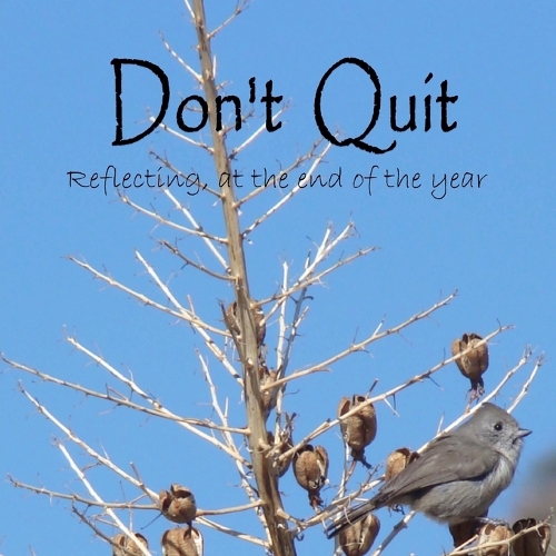 Don't Quit: Reflecting, at the end of the year