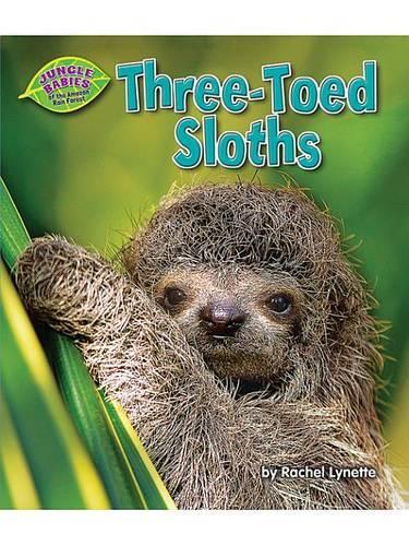 Three-Toed Sloths: (Jungle Babies of the Amazon Rain Forest)