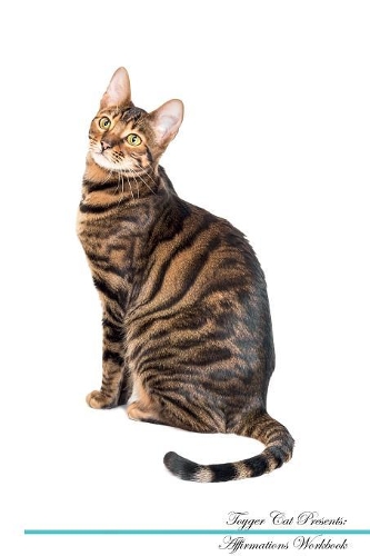 Toyger Cat Affirmations Workbook Toyger Cat Presents: Positive and Loving Affirmations Workbook. Includes: Mentoring Questions, Guidance, Supporting You.
