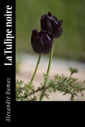 La Tulipe noire