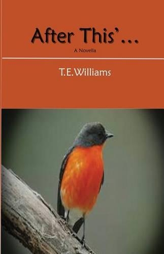 After This: (English)