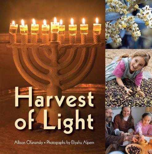Harvest of Light: (ALLISON OF Hanukkah)