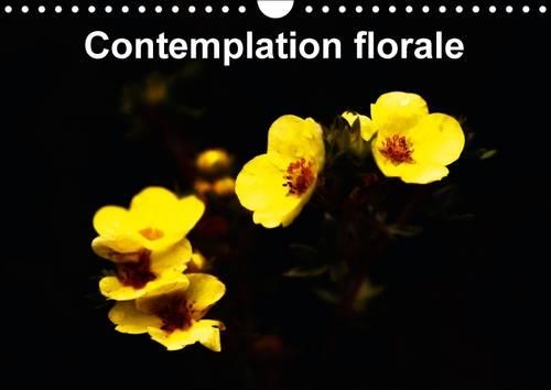 Contemplation florale 2016: La contemplation d’une fleur est un des premiers gestes à faire pour comprendre la beauté comme partie essentielle de notre âme.(Calvendo Nature)