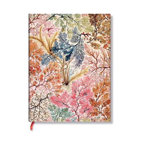 Anemone (William Kilburn) Midi Unlined Softcover Flexi Journal (Elastic Band Closure)