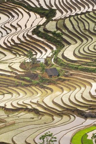 Flooded Rice Terrace Fields in Vietnam Journal: Take Notes, Write Down Memories in this 150 Page Lined Journal