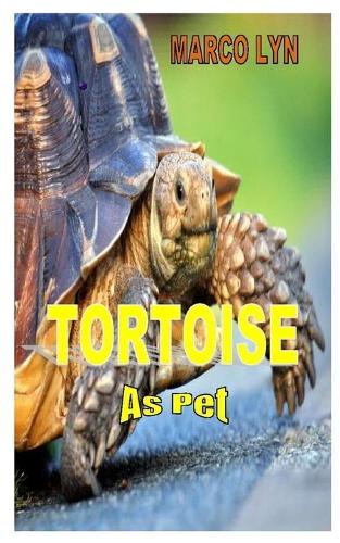 Tortoise as Pet