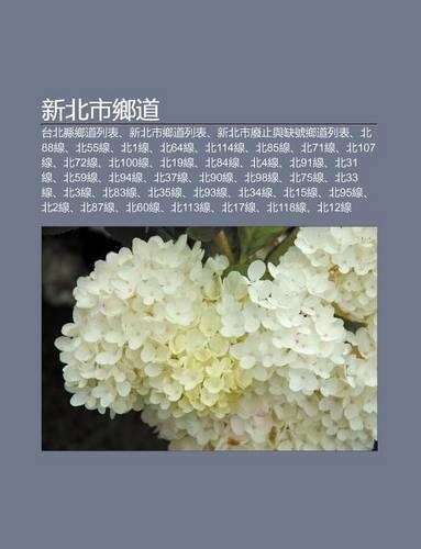 X N B I Shi XI Ng DAO