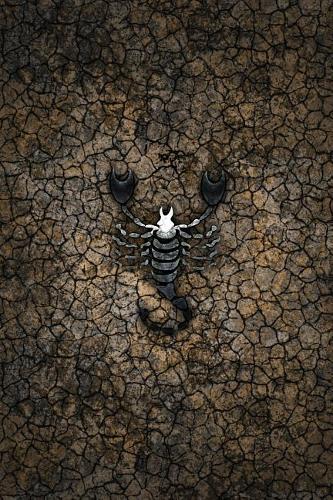 Monogram Scorpio Journal: Blank Notebook Diary Log