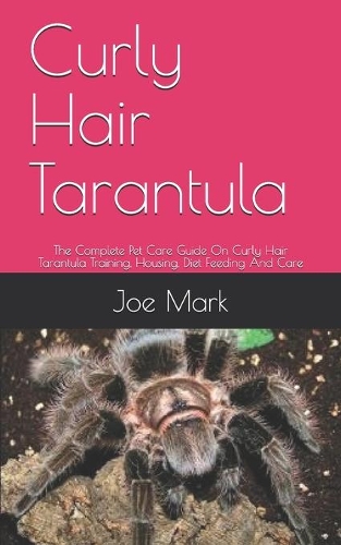 Curly Hair Tarantula