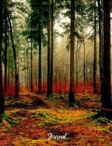 Journal