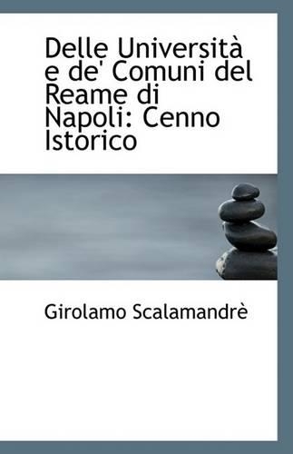 Delle Universita E de' Comuni del Reame Di Napoli: Cenno Istorico(English)