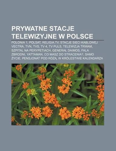 Prywatne Stacje Telewizyjne W Polsce