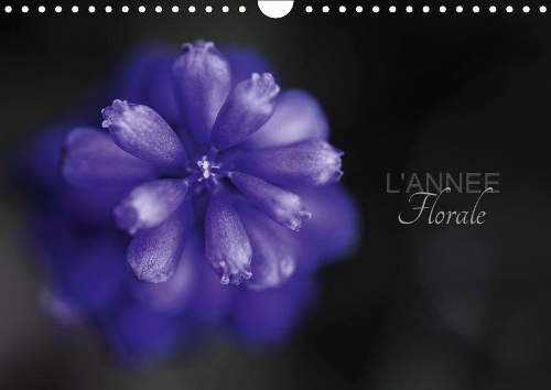 L'année florale 2019: 13 fleurs pour une année(Calvendo Nature)