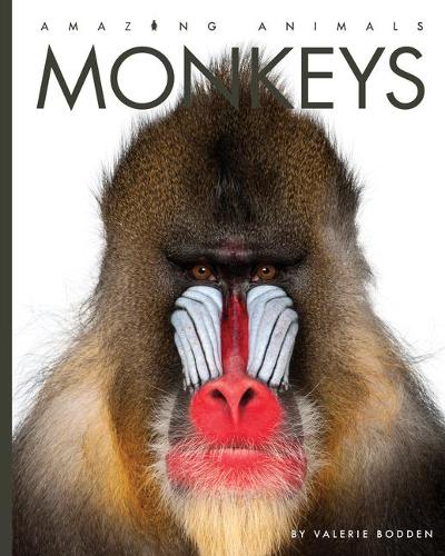 Monkeys: (Amazing Animals)