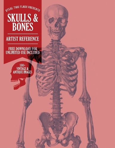 Skulls & Bones: Steal This Flash Presents - Artist Reference