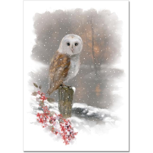 Mini Box: Winter Owl