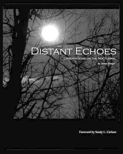 Distant Echoes
