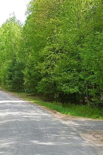 Journal Pretty Country Road Springtime