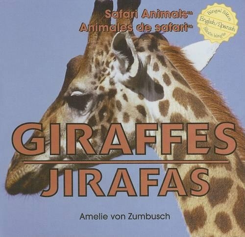 Giraffes / Jirafas