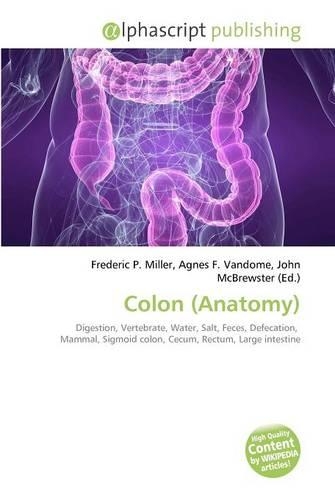 Colon (Anatomy): (English)