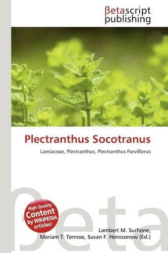 Plectranthus Socotranus