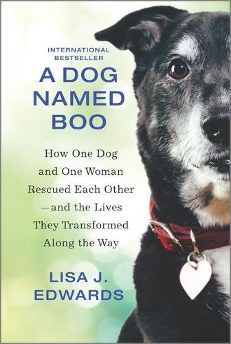 Dog Named Boo: How One Dog and One Woman Rescued Each Other--And the Lives They Transformed Along the Way