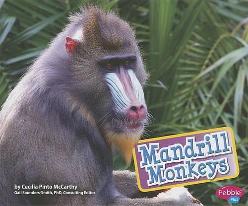 Mandrill Monkeys