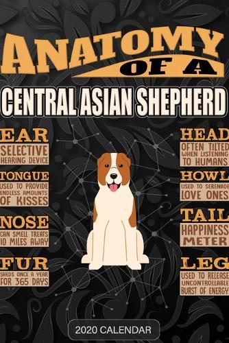 Anatomy Of A Central Asian Shepherd