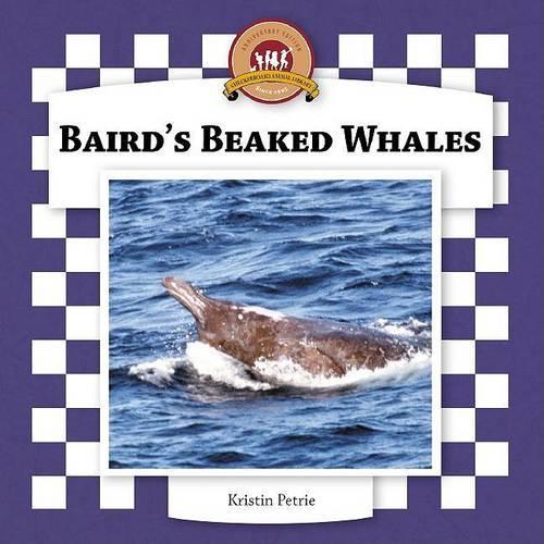 Baird's Beaked Whales