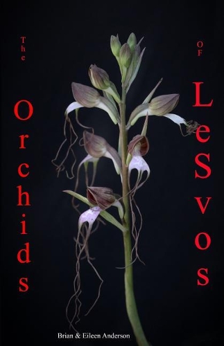 Orchids of Lesvos