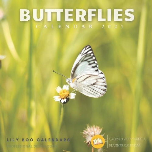 Butterflies Calendar 2021: 12 month calendar 2020 - 2021