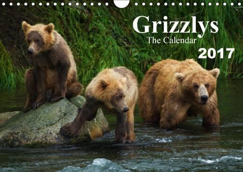 Grizzlys - The Calendar UK-Version 2017