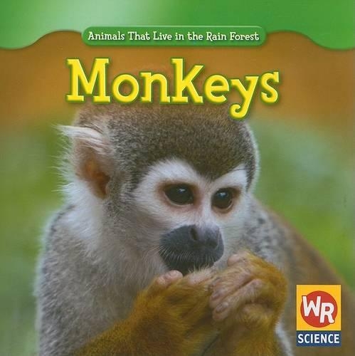 Monkeys: (Animals That Live in the Rain Forest)