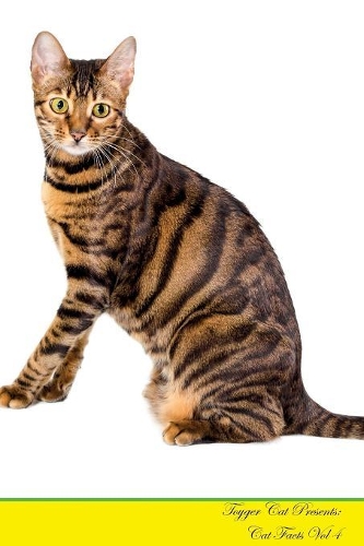 Toyger Cat Presents