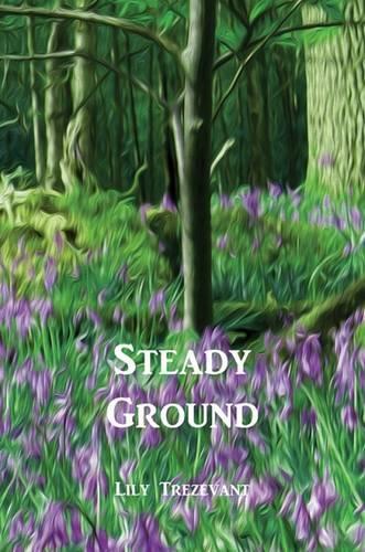 Steady Ground