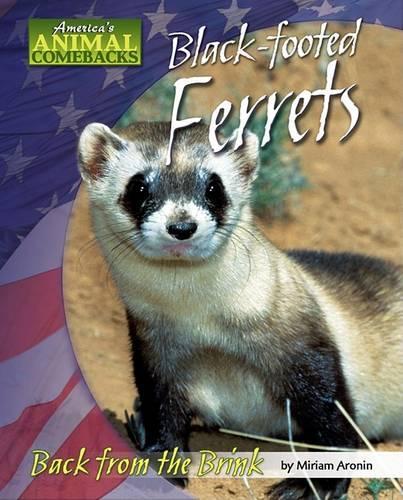 Black-Footed Ferrets