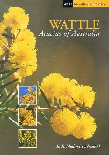 Wattle