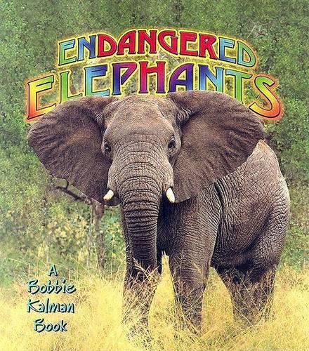 Endangered Elephants