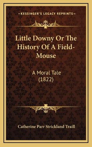 Little Downy Or The History Of A Field-Mouse
