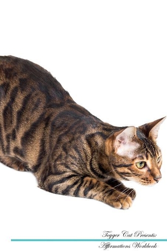 Toyger Cat Affirmations Workbook Toyger Cat Presents