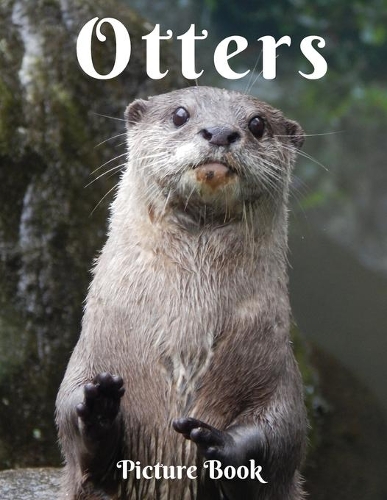Otters Picture Book: Picture Book for Alzheimer's Patients and Seniors with Dementia (Gift Book) Animal Safari Feline Gifts with Otters for Adults Men Women Kids Photo B
