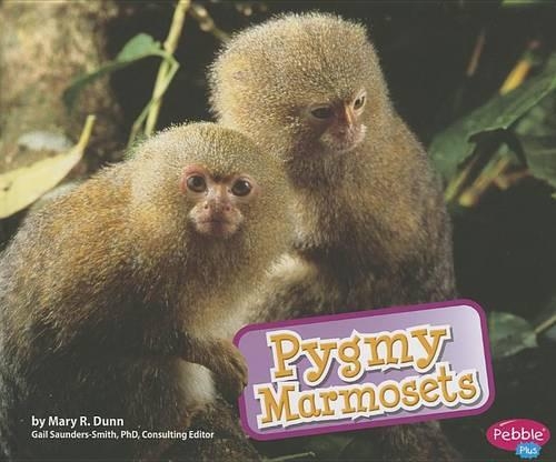 Pygmy Marmosets