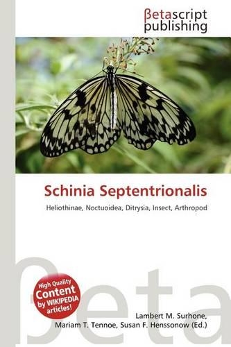 Schinia Septentrionalis: (English)